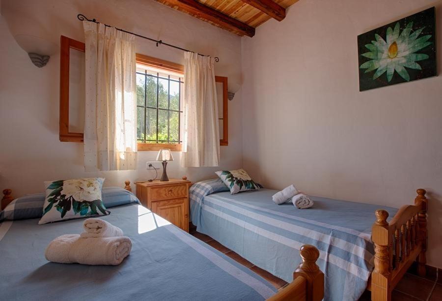 Villa Grane San José